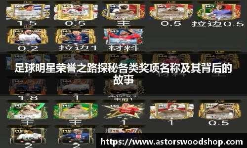 足球明星荣誉之路探秘各类奖项名称及其背后的故事